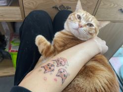 -彦瑾·TATTOOstudio