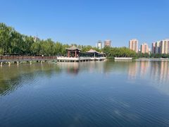 -莲花池公园
