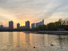 -莲花池公园