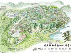 -铁山坪森林公园