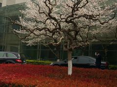 -南京东郊国宾馆