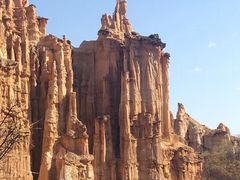 -元谋土林景区(物茂土林)
