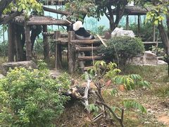 -南宁市动物园