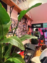-MDZ STORE·TATTOO·耳饰
