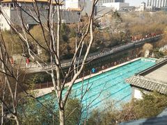 -教师之家赵家羊汤馆(东青龙街店)