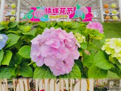 -盈香心动乐园