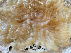 -鼎仔翅(龙湖公寓北区店)