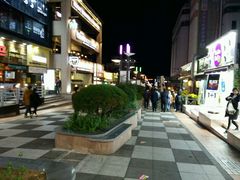 -宝健路步行街(Pedestrian Shopping Street)