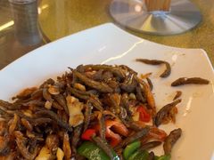 -清水湖度假村(罗浮山美食地标店)