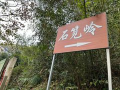 -东白山