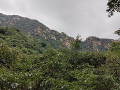 -大岭沟猕猴桃谷风景区