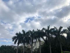 -夏日百货