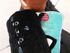 -VT101维多利广场