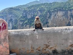 -白帝城·瞿塘峡景区