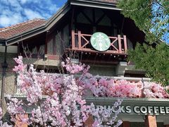 -星巴克臻选(思南公馆店)
