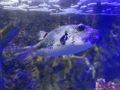 -太平洋海底世界