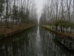 -合肥滨湖国家森林公园