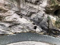 -太鲁阁公园