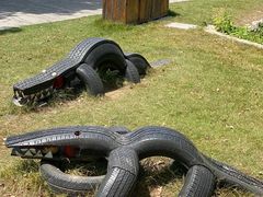 -前小桔亲子创意农场·草莓采摘·露营烧烤