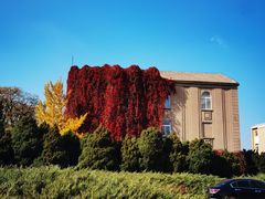 -辽宁大学(崇山校区)