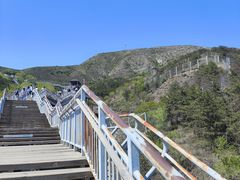 -大青山野生动物园