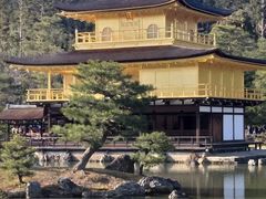 -维乐口腔医院(福清院)