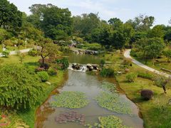 -东莞植物园