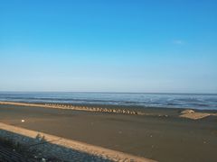 -南汇嘴观海公园