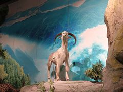 -重庆中国三峡博物馆(重庆博物馆)