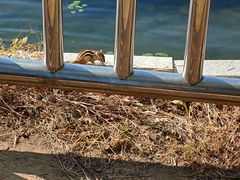 -长春市南湖公园