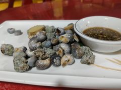 -罗源湾8号渔排