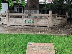 -常熟方塔园