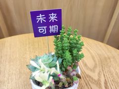 -家理律师事务所(上海店)