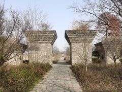 -广富林郊野公园