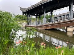 -眉山湿地公园(东坡区)
