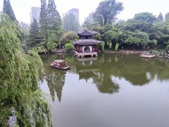 -水绘园