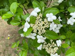 -合肥三国新城遗址公园