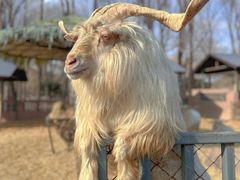 -沈阳森林动物园