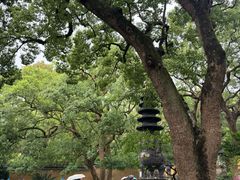 -普陀山风景名胜区-法雨禅寺