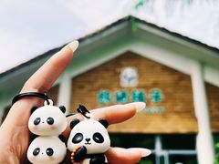 -苏州太湖国家湿地公园