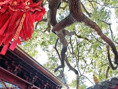 -仓山金山寺