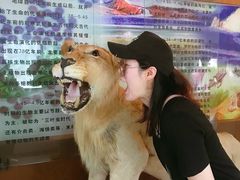 -宝岩生态观光园
