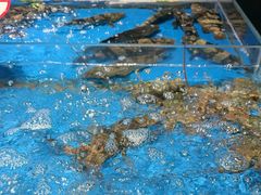 -徐记海鲜(大雁塔|金都店)