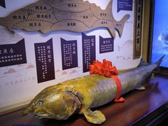 -胖姐渔村(中源大道店)