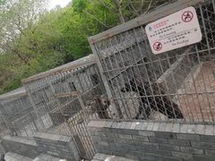 -麦当劳(双榆树店)