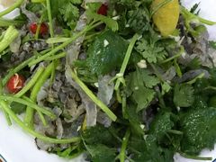 -全乐鱼馆·淳牌有机鱼直营店