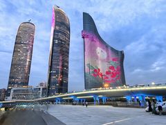 -演武大桥观景平台