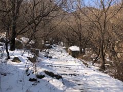 -阳台山自然风景区