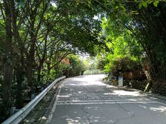 -三圣花乡旅游区