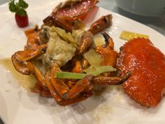 -沪碟·精菜坊(闵行店)